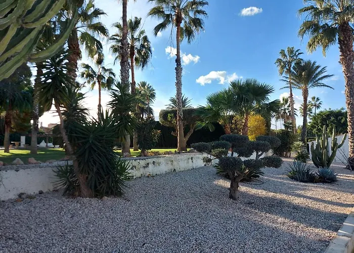 Bebi Casa Torrevieja